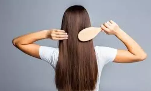 Hair Care: एक पत्ता आपको दे सकता है लंबे बाल, जानिए कैसे करें इसका इस्तेमाल Hair Care: एक पत्ता आपको दे सकता है लंबे बाल, जानिए कैसे करें इसका इस्तेमाल