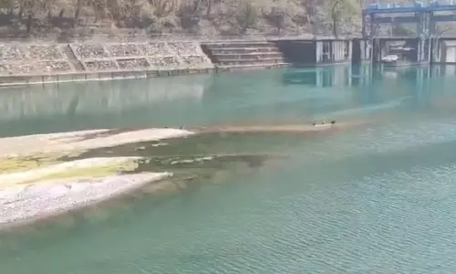 Haldwani: गौला नदी सूखने की कगार पर, शहर में पानी को लेकर हाहाकार Haldwani: गौला नदी सूखने की कगार पर, शहर में पानी को लेकर हाहाकार