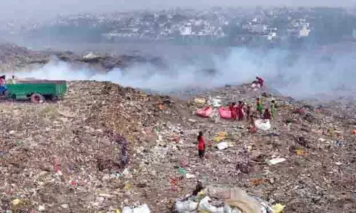 Jalandhar: कचरे को जलाना बंद करें, वैज्ञानिक तरीके से उसका प्रबंधन करें