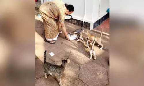 Kerala: लता शिक्षिका सड़क पर सुंदरियों का ख्याल रखती