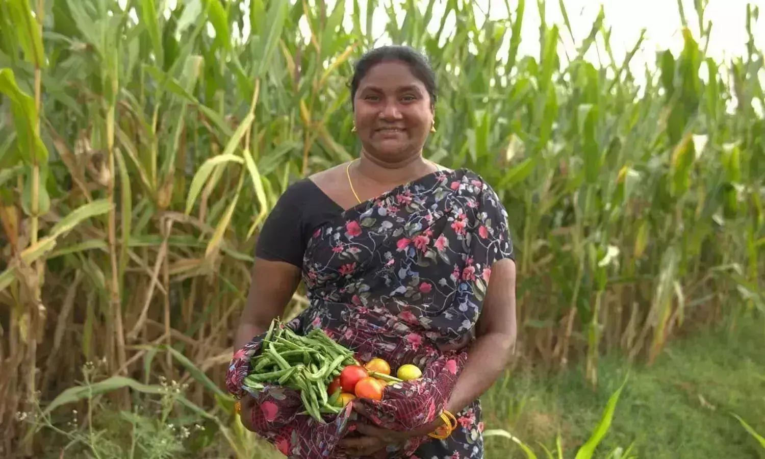 Andhra: संघर्ष, परिवर्तन और सफलता की यात्रा