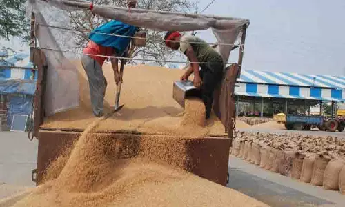 80K मीट्रिक टन में से 77 हजार मीट्रिक टन गेहूं की खरीद, किसानों को 132 करोड़ रुपये का भुगतान 80K मीट्रिक टन में से 77 हजार मीट्रिक टन गेहूं की खरीद, किसानों को 132 करोड़ रुपये का भुगतान