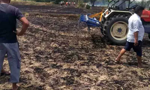 Himachal: शॉर्ट सर्किट से लगी आग, इंदौरा क्षेत्र में खड़ी गेहूं की फसल को नुकसान