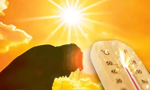 Andhra: फिर चमक रहा सूरज आज 51 मंडलों में हीटवेव