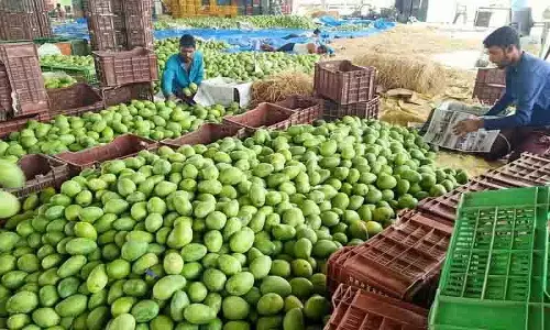 Jagtial का प्रसिद्ध आम बाजार फलों की कम आवक के कारण वीरान पड़ा Jagtial का प्रसिद्ध आम बाजार फलों की कम आवक के कारण वीरान पड़ा
