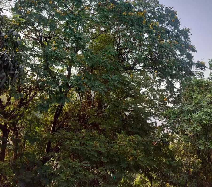 रायपुर ज्यादा गर्म रहा, तापमान हाई रायपुर ज्यादा गर्म रहा, तापमान हाई
