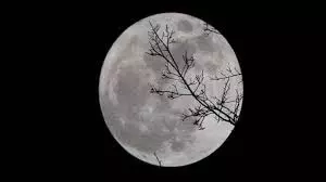 Vaishakh Amavasya 2025: वैशाख अमावस्या के दिन करें इस चालीसा का पाठ, मिलेगा पितरों का आशीर्वाद Vaishakh Amavasya 2025: वैशाख अमावस्या के दिन करें इस चालीसा का पाठ, मिलेगा पितरों का आशीर्वाद