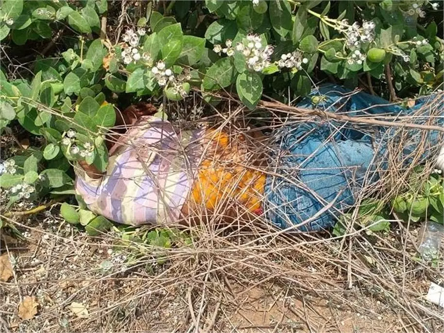 Haryana : झाड़ियों में मिली युवती की लाश,पुलिस के उड़े होश Haryana : झाड़ियों में मिली युवती की लाश,पुलिस के उड़े होश