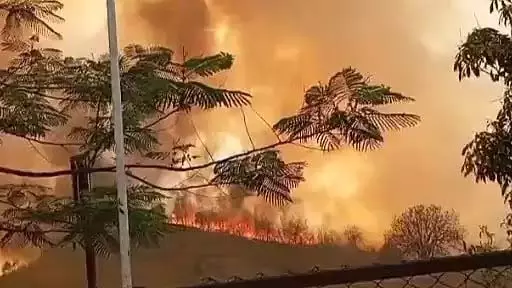 MP के अनूपपुर में भीषण जंगल में लगी आग, आग पर काबू पाने के लिए 20 से अधिक वनकर्मी तैनात MP के अनूपपुर में भीषण जंगल में लगी आग, आग पर काबू पाने के लिए 20 से अधिक वनकर्मी तैनात