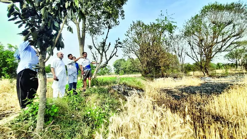 300 कनाल भूमि पर आग का तांडव 300 कनाल भूमि पर आग का तांडव