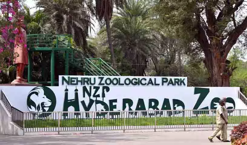 Hyderabad Zoo ने बच्चों के लिए ग्रीष्मकालीन शिविर की घोषणा की Hyderabad Zoo ने बच्चों के लिए ग्रीष्मकालीन शिविर की घोषणा की