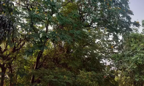 रायपुर ज्यादा गर्म रहा, तापमान हाई रायपुर ज्यादा गर्म रहा, तापमान हाई