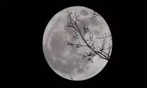 Vaishakh Amavasya 2025:    वैशाख अमावस्या के दिन करें इस चालीसा का पाठ, मिलेगा पितरों का आशीर्वाद
