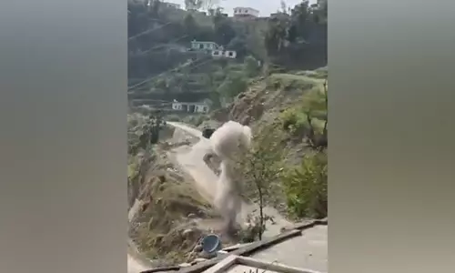 Rajouri में सुरक्षा बलों ने उच्च विस्फोटक मोर्टार शेल को नष्ट किया