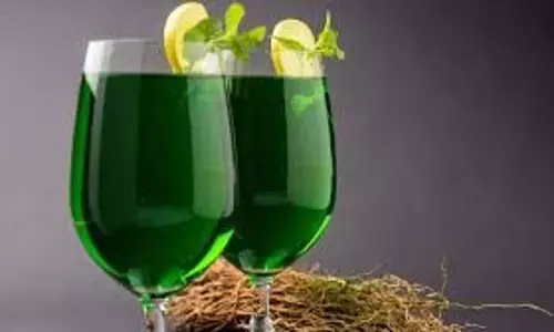 Summer Drink: गर्मी के मौसम में अमृत के समान है खसखस ​​का शरबत