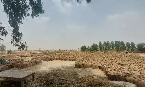 Haryana :  राज्य में अभी तक 46% खरीदा गया गेहूं नहीं उठाया गया