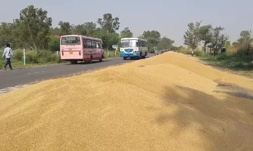 Haryana : मंडियां खचाखच भरी, गेहूं सड़कों और स्कूलों में फैला Haryana : मंडियां खचाखच भरी, गेहूं सड़कों और स्कूलों में फैला