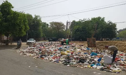 Haryana : सेक्टर 46 के निवासियों ने अनाधिकृत तरीके से कूड़ा फेंकने पर चिंता जताई