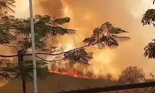 MP के अनूपपुर में भीषण जंगल में लगी आग, आग पर काबू पाने के लिए 20 से अधिक वनकर्मी तैनात