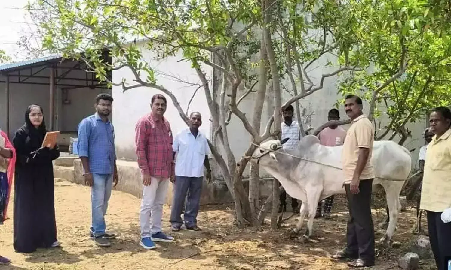 Telangana: नगरकुरनूल में मवेशियों के लिए निःशुल्क एचएस टीकाकरण अभियान चलाया गया Telangana: नगरकुरनूल में मवेशियों के लिए निःशुल्क एचएस टीकाकरण अभियान चलाया गया