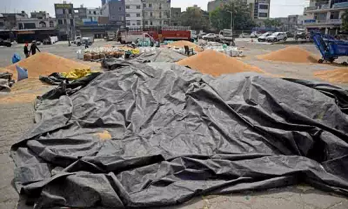 DC ने गेहूं उठान में देरी होने पर अधिकारियों को कार्रवाई की चेतावनी दी DC ने गेहूं उठान में देरी होने पर अधिकारियों को कार्रवाई की चेतावनी दी