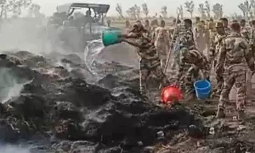 Kalanaur में आग ने 400 एकड़ जमीन को अपनी चपेट में ले लिया