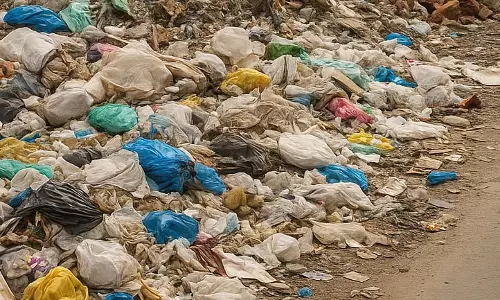 बेंगलुरु में 10 दिवसीय स्वच्छता अभियान, 3,570 टन कचरा हटाया गया