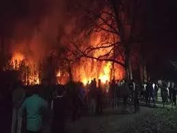 MP News: जंगल में लगी भीषण आग से मचा हड़कंप MP News: जंगल में लगी भीषण आग से मचा हड़कंप