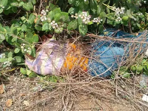 प्रेमी ने महिला को उतारा मौत के घाट, शादी का दबाव बनाने पर भड़का प्रेमी ने महिला को उतारा मौत के घाट, शादी का दबाव बनाने पर भड़का