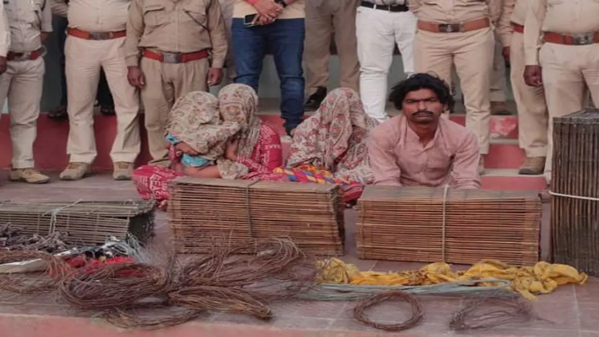 Maihar में पारधी समुदाय के ठिकानों पर कार्रवाई, तीन गिरफ्तार Maihar में पारधी समुदाय के ठिकानों पर कार्रवाई, तीन गिरफ्तार