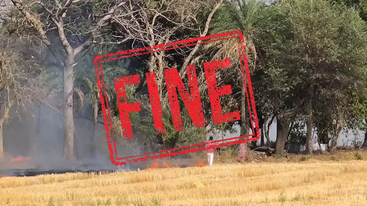 Bhopal: पराली जलाने पर कलेक्टर ने 4 किसानों के खिलाफ कार्रवाई के आदेश दिए Bhopal: पराली जलाने पर कलेक्टर ने 4 किसानों के खिलाफ कार्रवाई के आदेश दिए