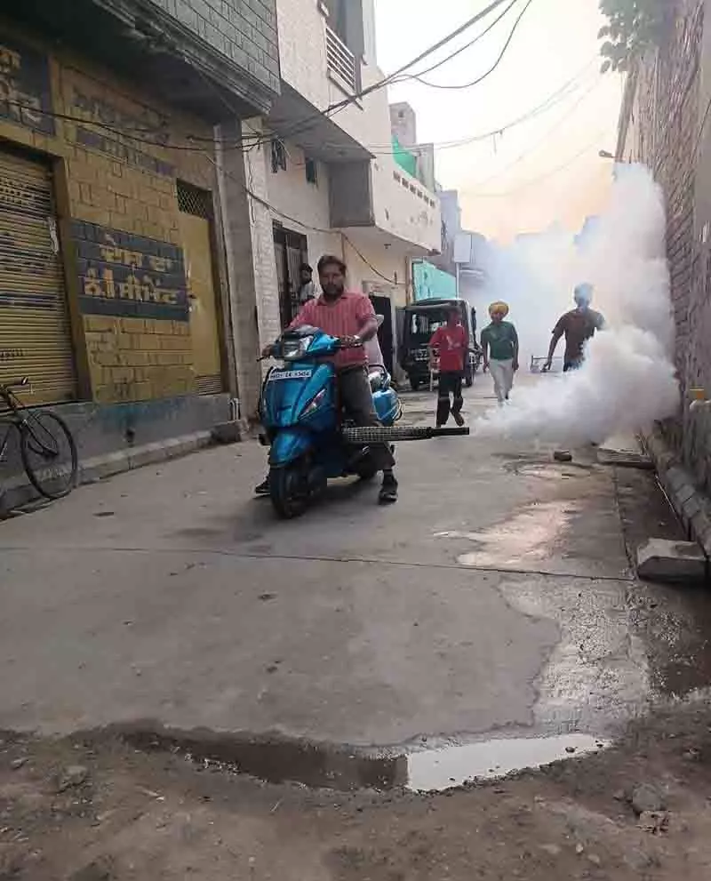 Punjab: फॉगिंग अभियान समय से पहले शुरू, कई इलाकों में अभी भी राहत का इंतजार Punjab: फॉगिंग अभियान समय से पहले शुरू, कई इलाकों में अभी भी राहत का इंतजार