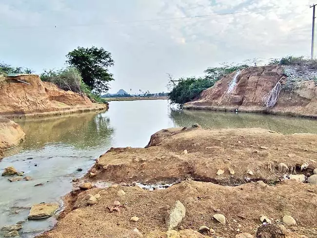 राज्य के हज़ारों किसान अपनी खेती के लिए तालाबों और नहरों पर निर्भर राज्य के हज़ारों किसान अपनी खेती के लिए तालाबों और नहरों पर निर्भर