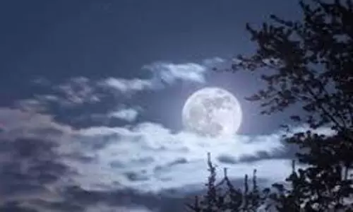 Vaishakh Amavasya 2025: वैशाख अमावस्या पर अपनी राशि के अनुसार करें इन चीजों का दान, बन जाएंगे हर बिगड़े काम Vaishakh Amavasya 2025: वैशाख अमावस्या पर अपनी राशि के अनुसार करें इन चीजों का दान, बन जाएंगे हर बिगड़े काम