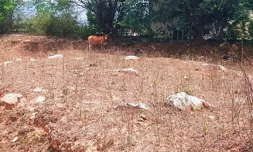 करियाकोइल नदी तट पर पत्थर के घेरे ढह रहे !: क्या उत्खनन योजना का मसौदा ठंडे बस्ते में डाल दिया करियाकोइल नदी तट पर पत्थर के घेरे ढह रहे !: क्या उत्खनन योजना का मसौदा ठंडे बस्ते में डाल दिया