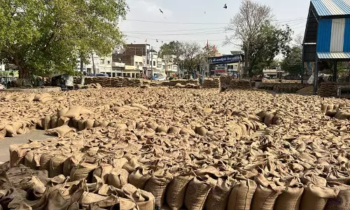 Sirsa की मंडियों में गेहूं के ढेर लगे, उठान में देरी पर आढ़तियों ने किया विरोध