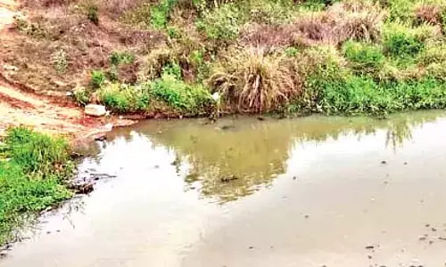 Odisha : नदी का जलस्तर पूरी तरह से कम हो गया Odisha : नदी का जलस्तर पूरी तरह से कम हो गया