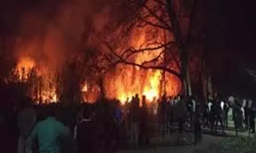 MP News: जंगल में लगी भीषण आग से मचा हड़कंप
