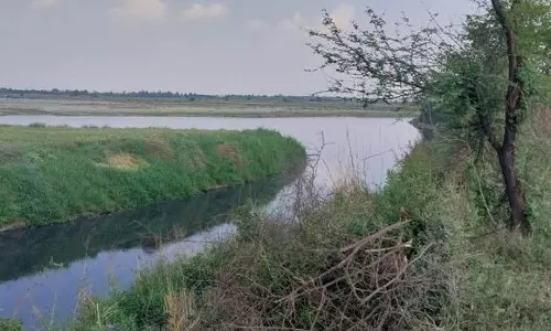 Panipat की रंगाई इकाइयां और सीवेज से यमुना प्रदूषित होना सरकार के लिए बड़ी चिंता