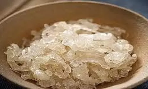 Gond Katira Benefits: गर्मियों में आपको ठंडा रखता है यह प्राकृतिक टॉनिक, जानें फायदे Gond Katira Benefits: गर्मियों में आपको ठंडा रखता है यह प्राकृतिक टॉनिक, जानें फायदे