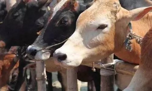 Odisha में पलायन रोकने के लिए ग्रामीण आजीविका को बढ़ावा देने की योजना Odisha में पलायन रोकने के लिए ग्रामीण आजीविका को बढ़ावा देने की योजना