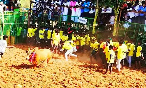 Tamil Nadu : कोन्नैयमपट्टी में जल्लीकट्टू
