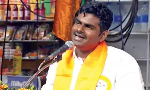 AP राज्यसभा सीट के लिए अन्नामलाई शीर्ष दावेदार, शीर्ष नेतृत्व और TDP का समर्थन