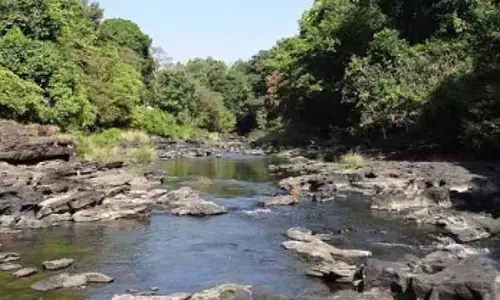 Goa ने महादेई नदी के संयुक्त निरीक्षण की मांग की