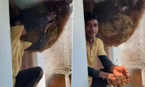 मधुमक्खियों के साथ खेलता दिखा शख्स, VIDEO देख लोगों के उड़े होश