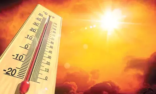 Andhra : दोर्निपदु में तापमान 43.9 डिग्री तक पहुंचा Andhra : दोर्निपदु में तापमान 43.9 डिग्री तक पहुंचा