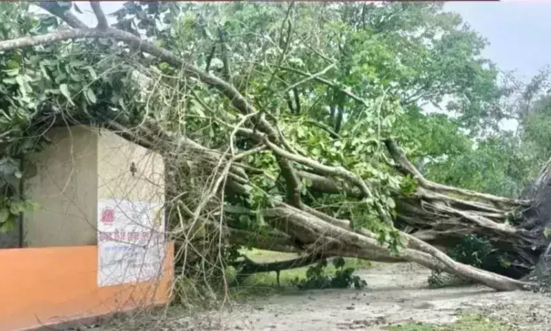 Assam : तूफान ने ढाकुआखाना को प्रभावित किया, स्वास्थ्य केंद्र नष्ट