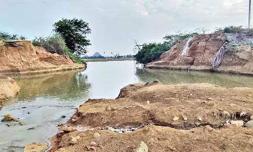 राज्य के हज़ारों किसान अपनी खेती के लिए तालाबों और नहरों पर निर्भर