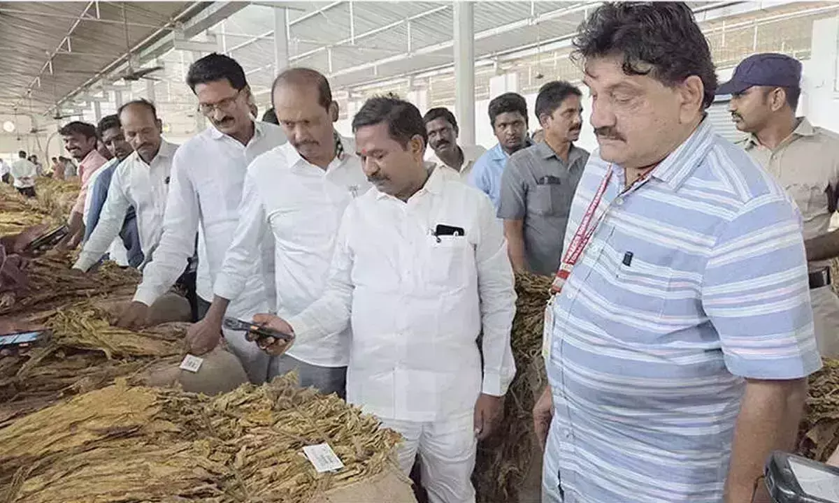 Andhra: समाज कल्याण मंत्री ने तम्बाकू किसानों को सहायता का आश्वासन दिया