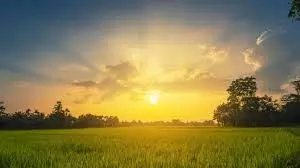 Morning Astro Tips इन शक्तिशाली मंत्रों के जाप से करें अपने दिन की शुरुआत, जीवन होगा खुशहाल Morning Astro Tips इन शक्तिशाली मंत्रों के जाप से करें अपने दिन की शुरुआत, जीवन होगा खुशहाल